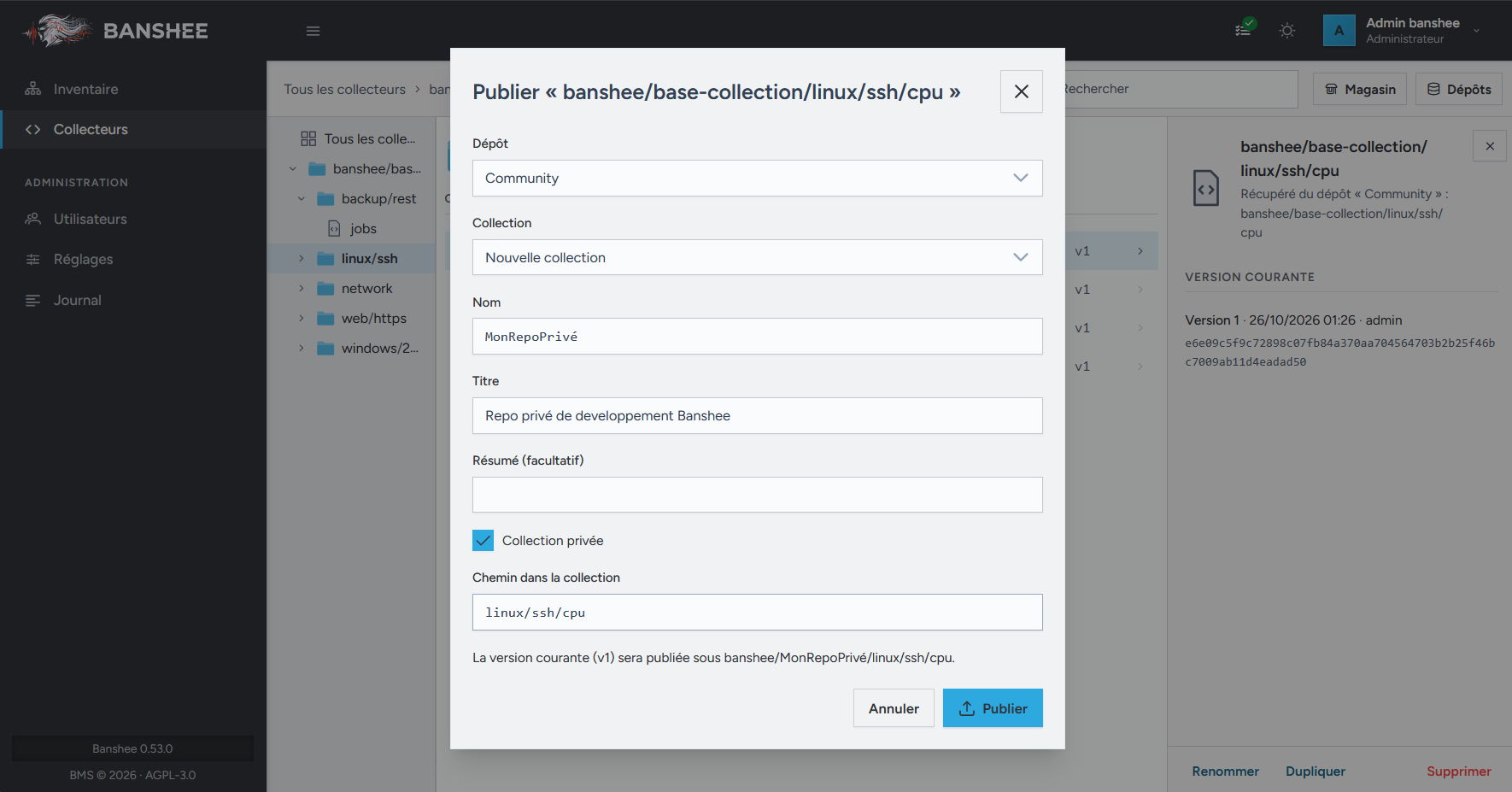 The Publish window of a collector